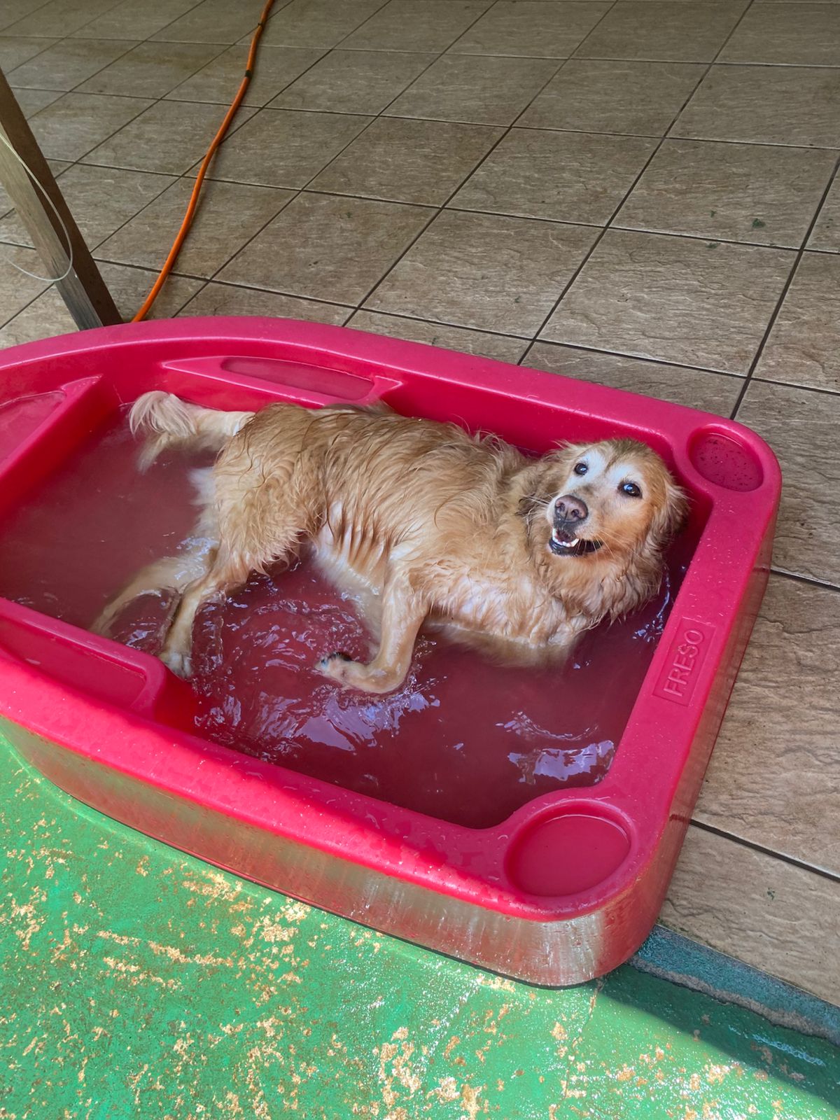 sexta-feira, 09/01/2026 12:09