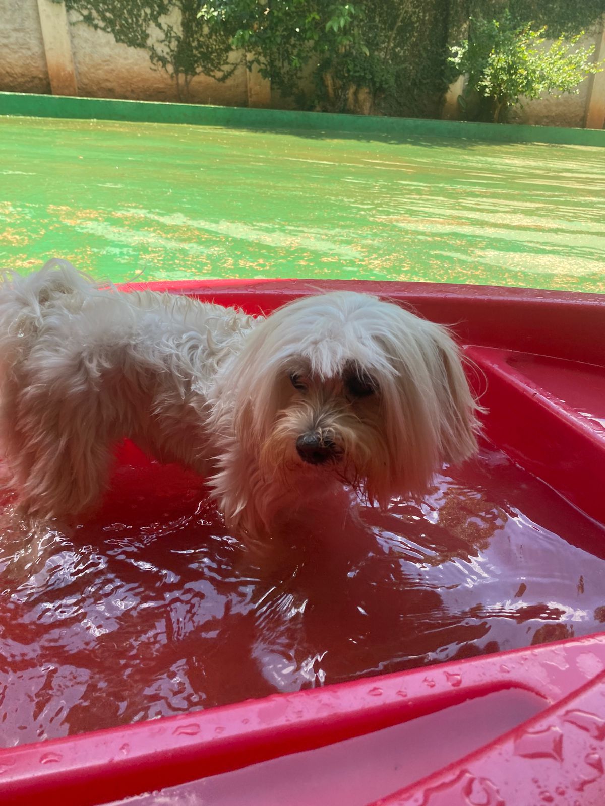 sexta-feira, 09/01/2026 12:09