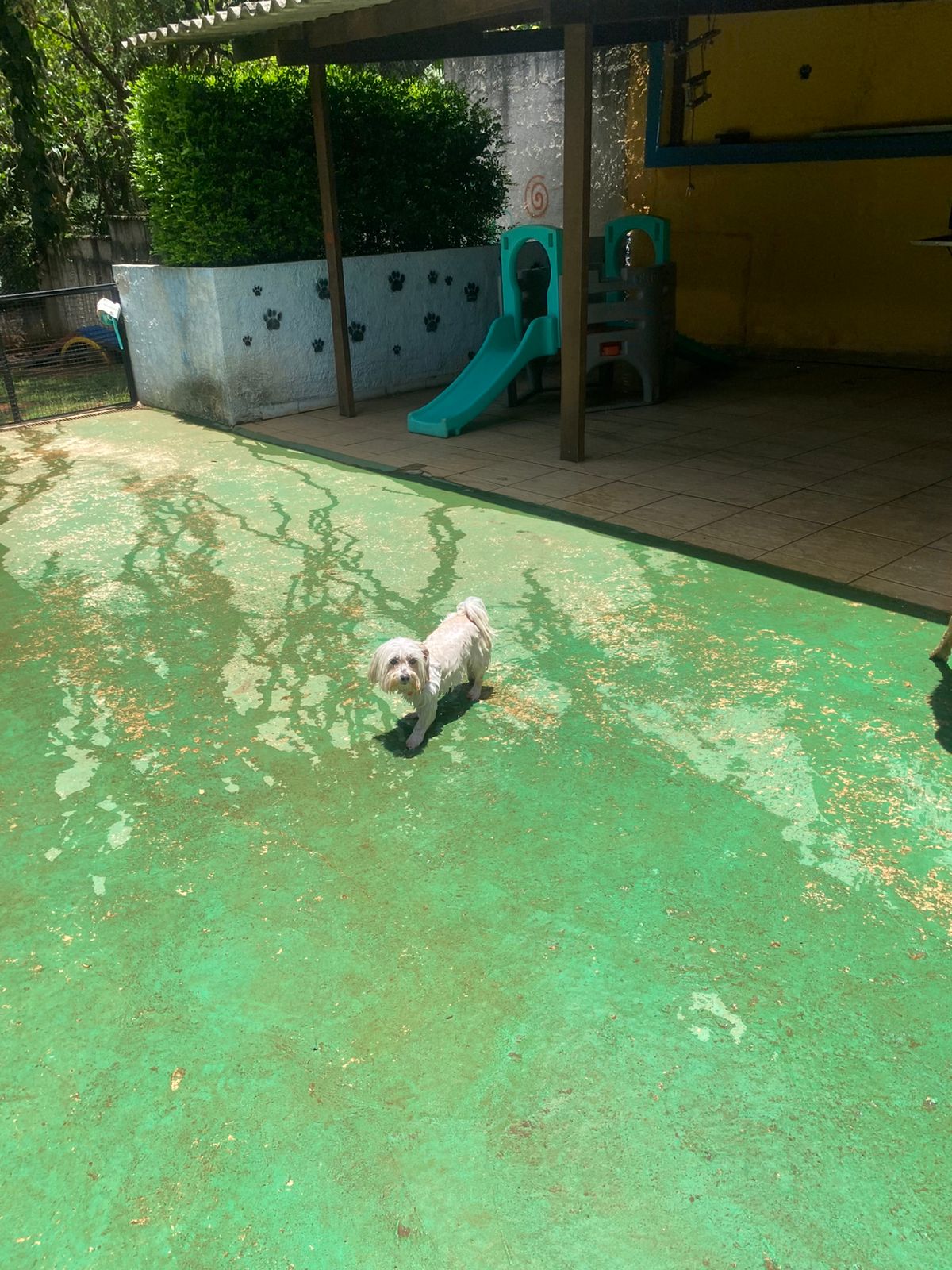 sexta-feira, 09/01/2026 12:09