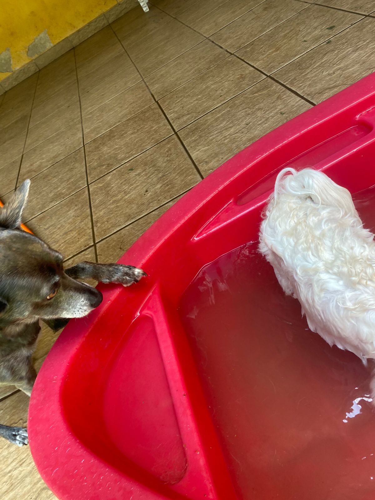 sexta-feira, 09/01/2026 12:09