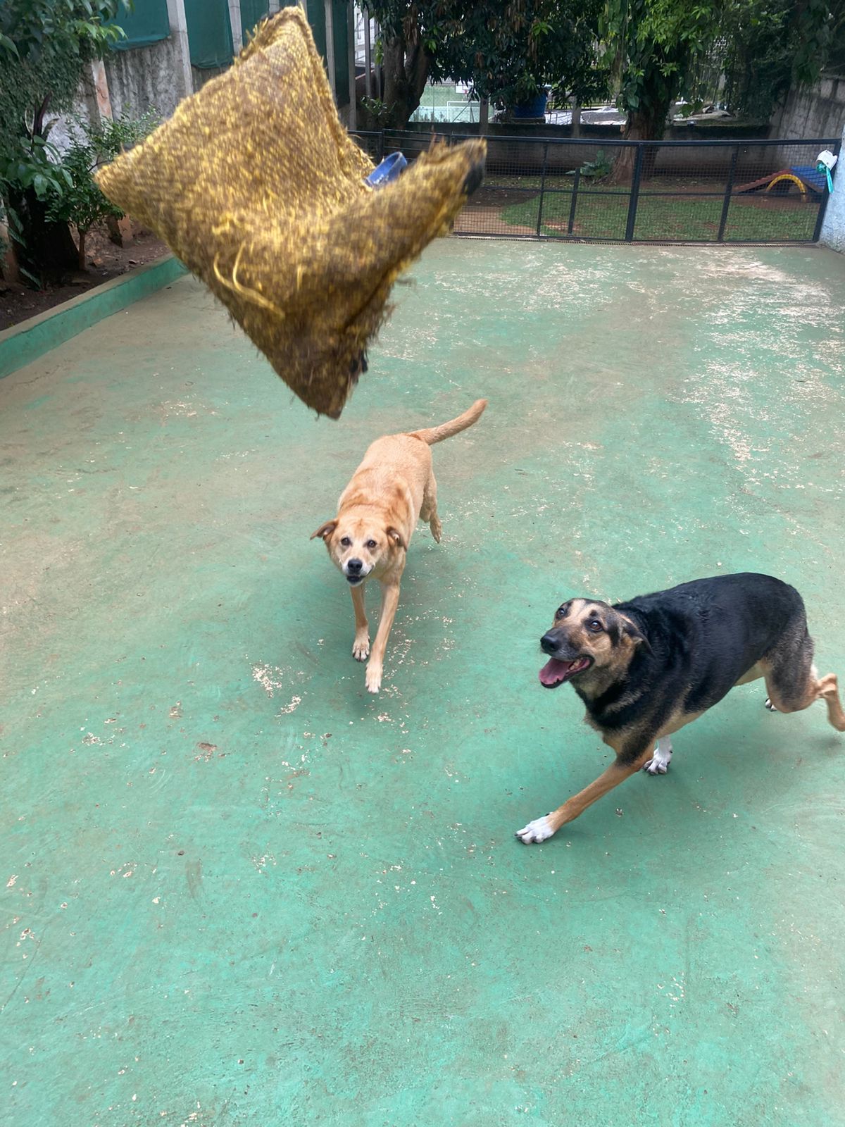 sexta-feira, 09/01/2026 13:41