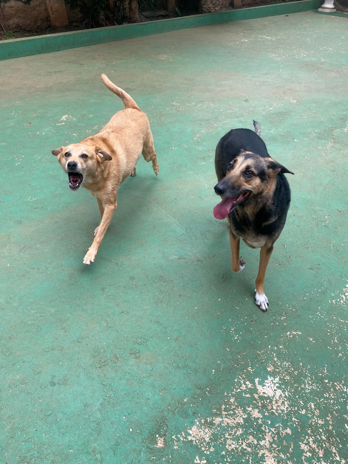 sexta-feira, 09/01/2026 13:41