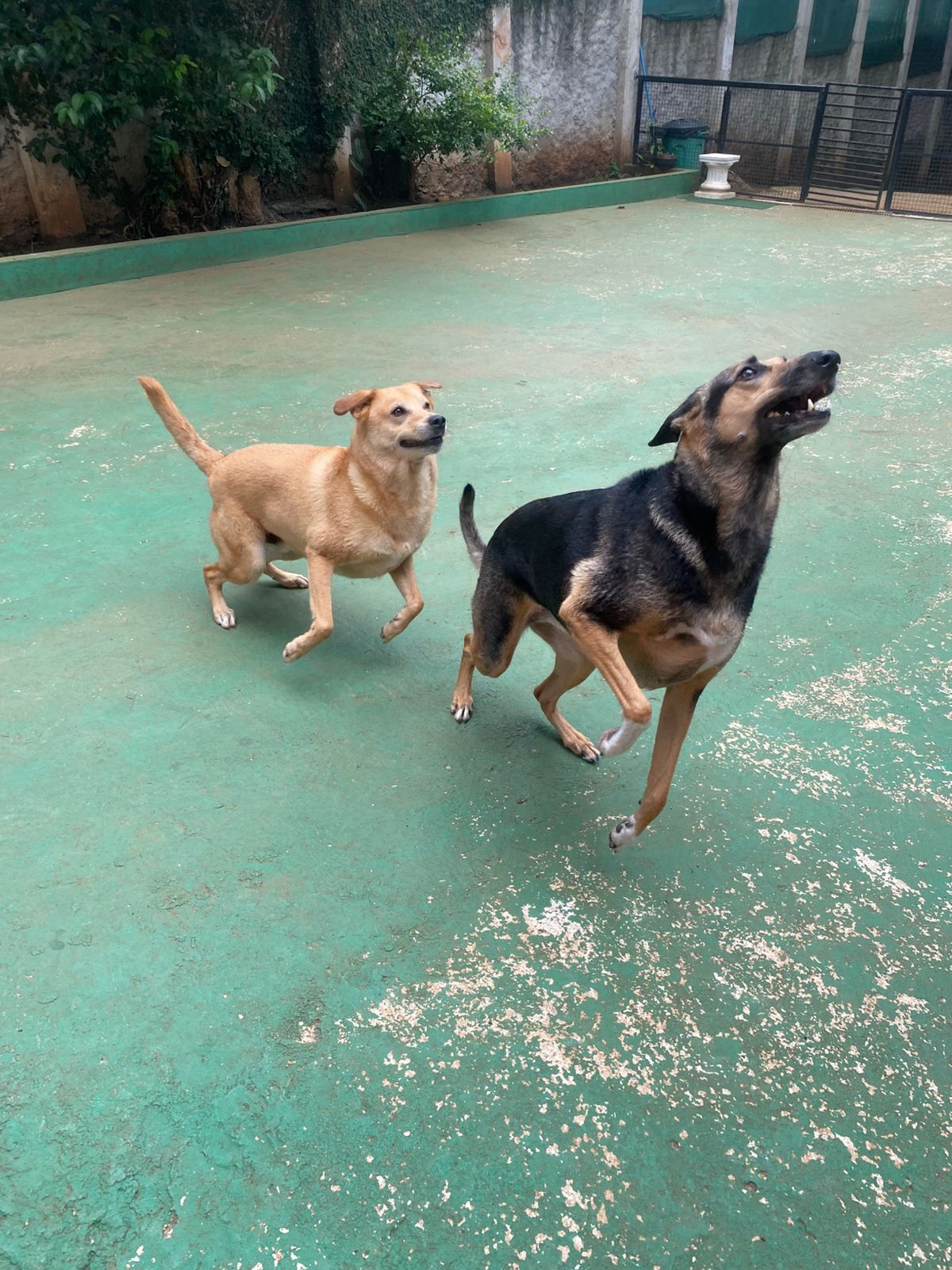 sexta-feira, 09/01/2026 13:41