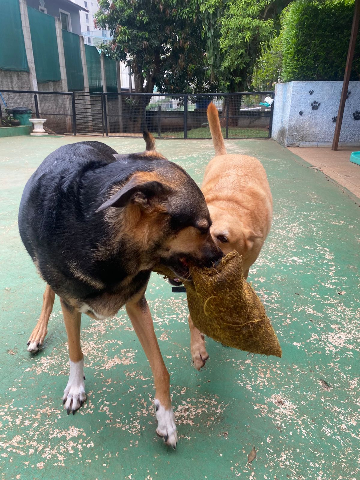 sexta-feira, 09/01/2026 13:41