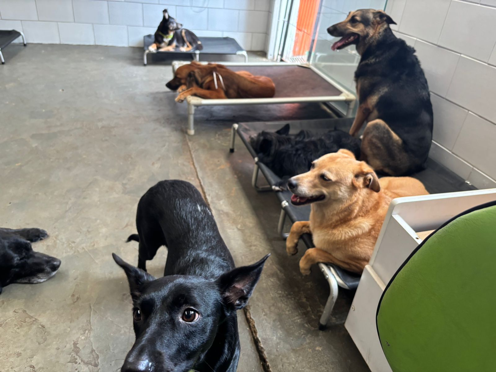 sexta-feira, 09/01/2026 14:52