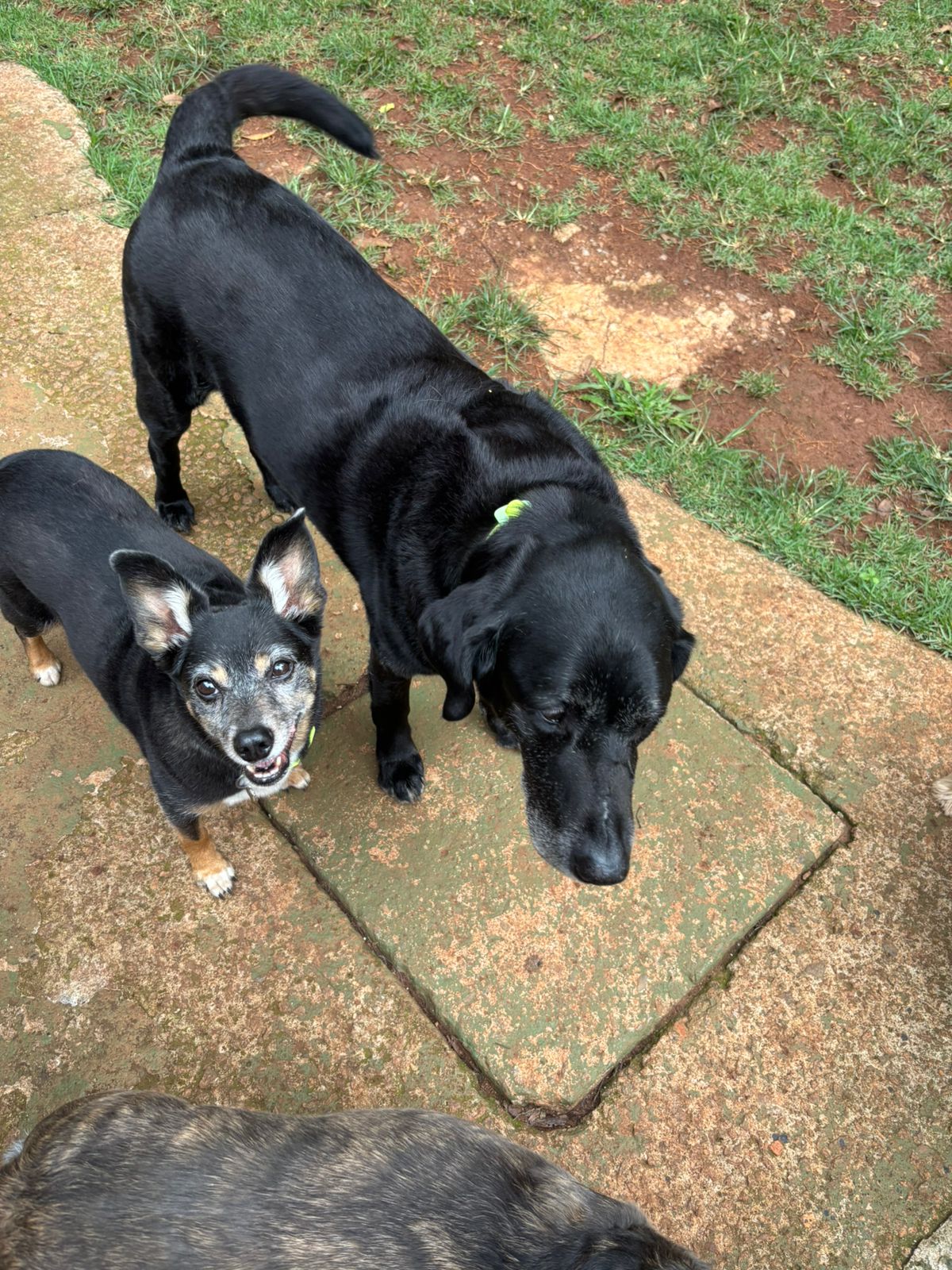 sexta-feira, 09/01/2026 15:57