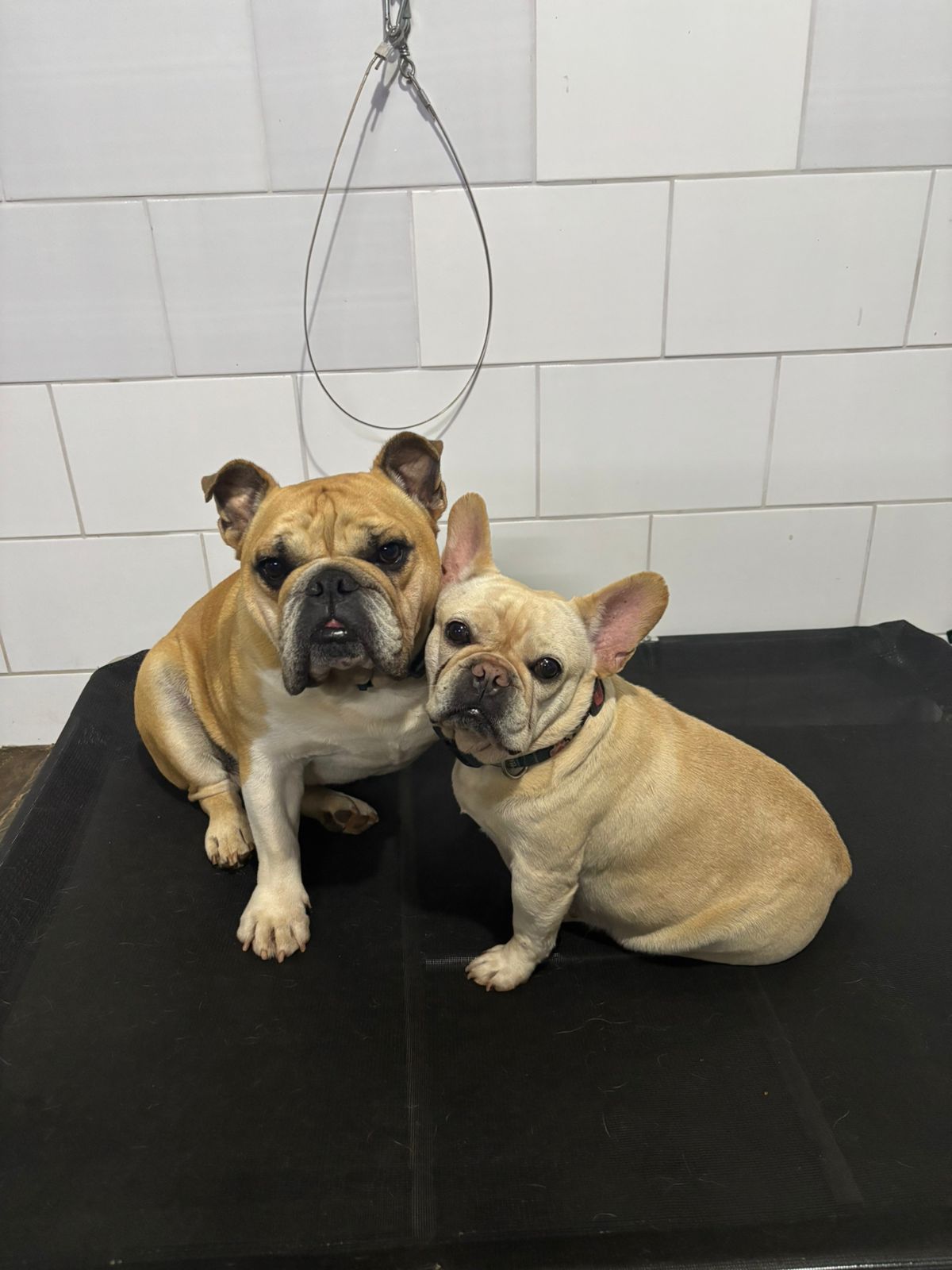 sexta-feira, 09/01/2026 15:58