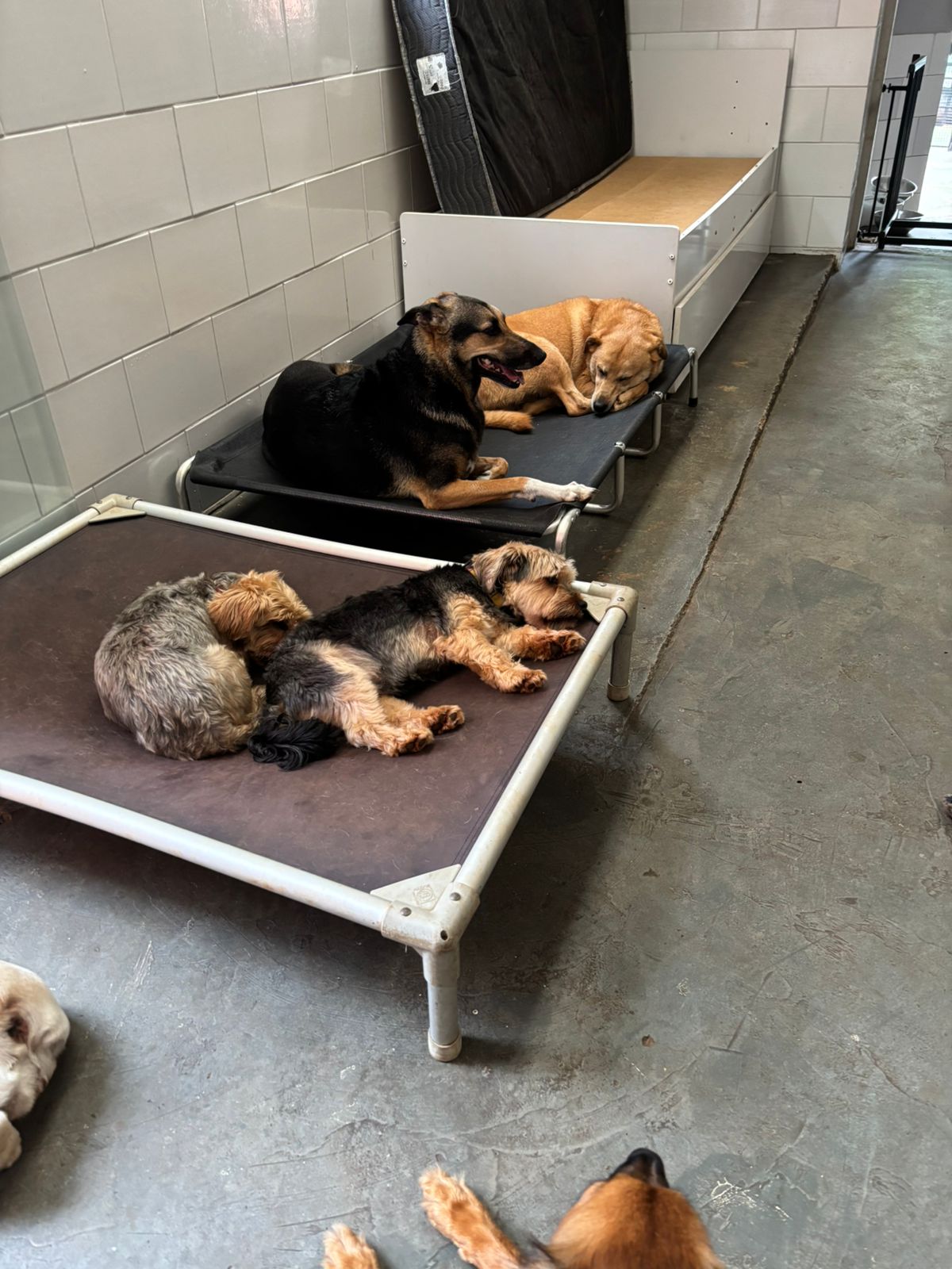 sexta-feira, 09/01/2026 16:41