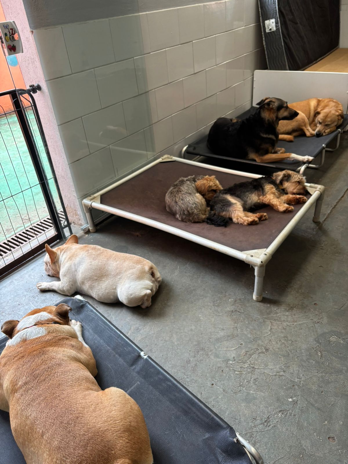 sexta-feira, 09/01/2026 16:41