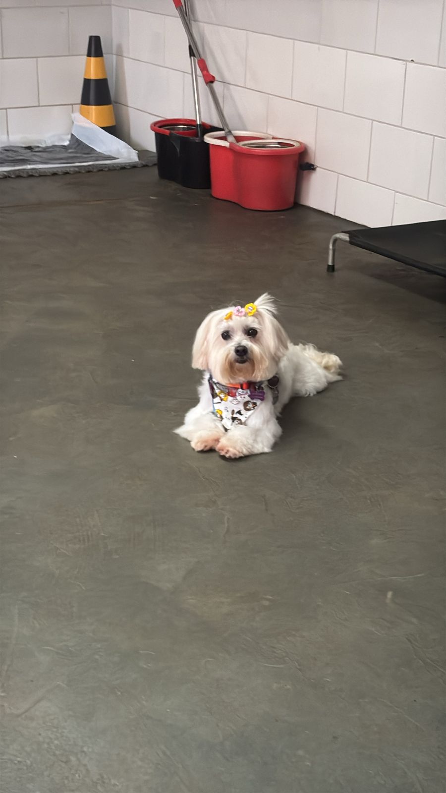 sexta-feira, 09/01/2026 17:14