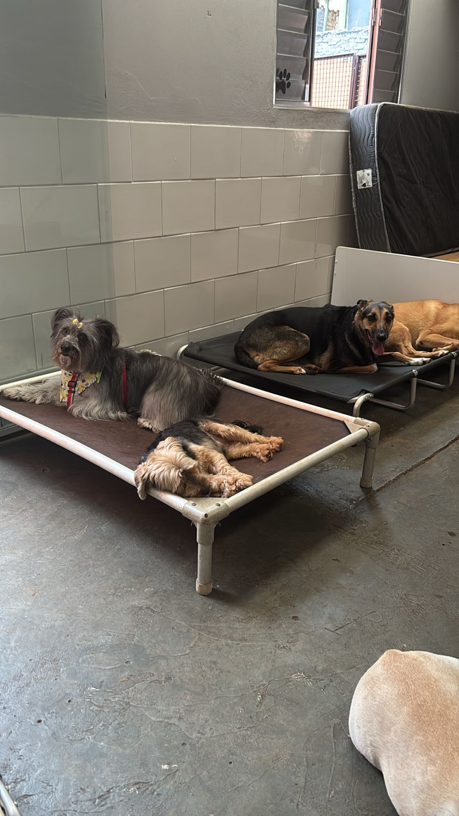 sexta-feira, 09/01/2026 17:15