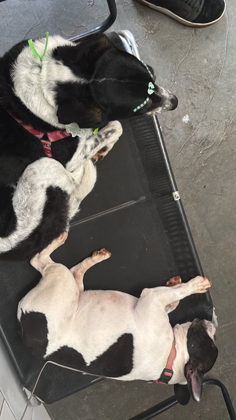 sexta-feira, 09/01/2026 17:15