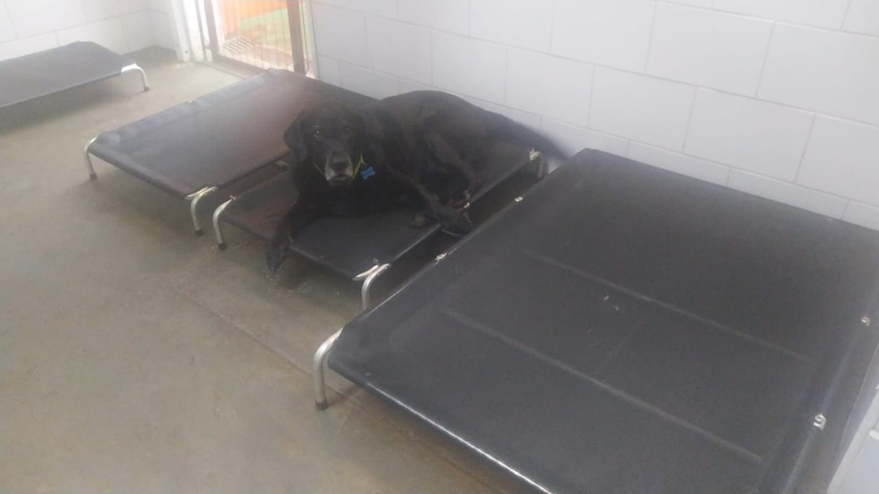 terça-feira, 13/01/2026 08:12