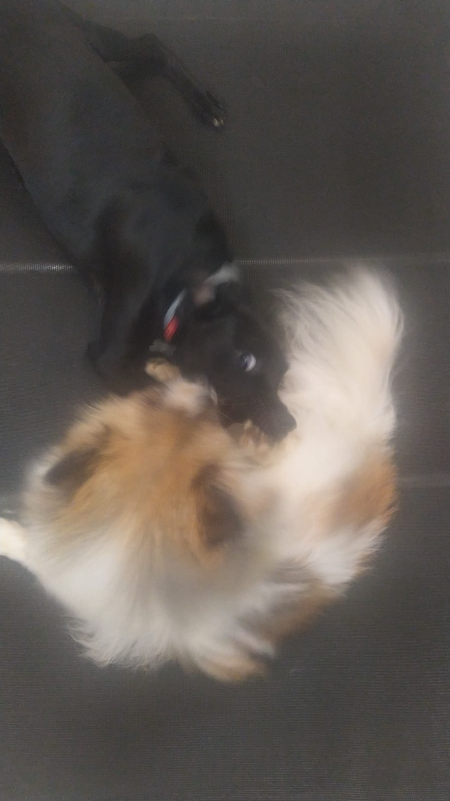 terça-feira, 13/01/2026 08:15