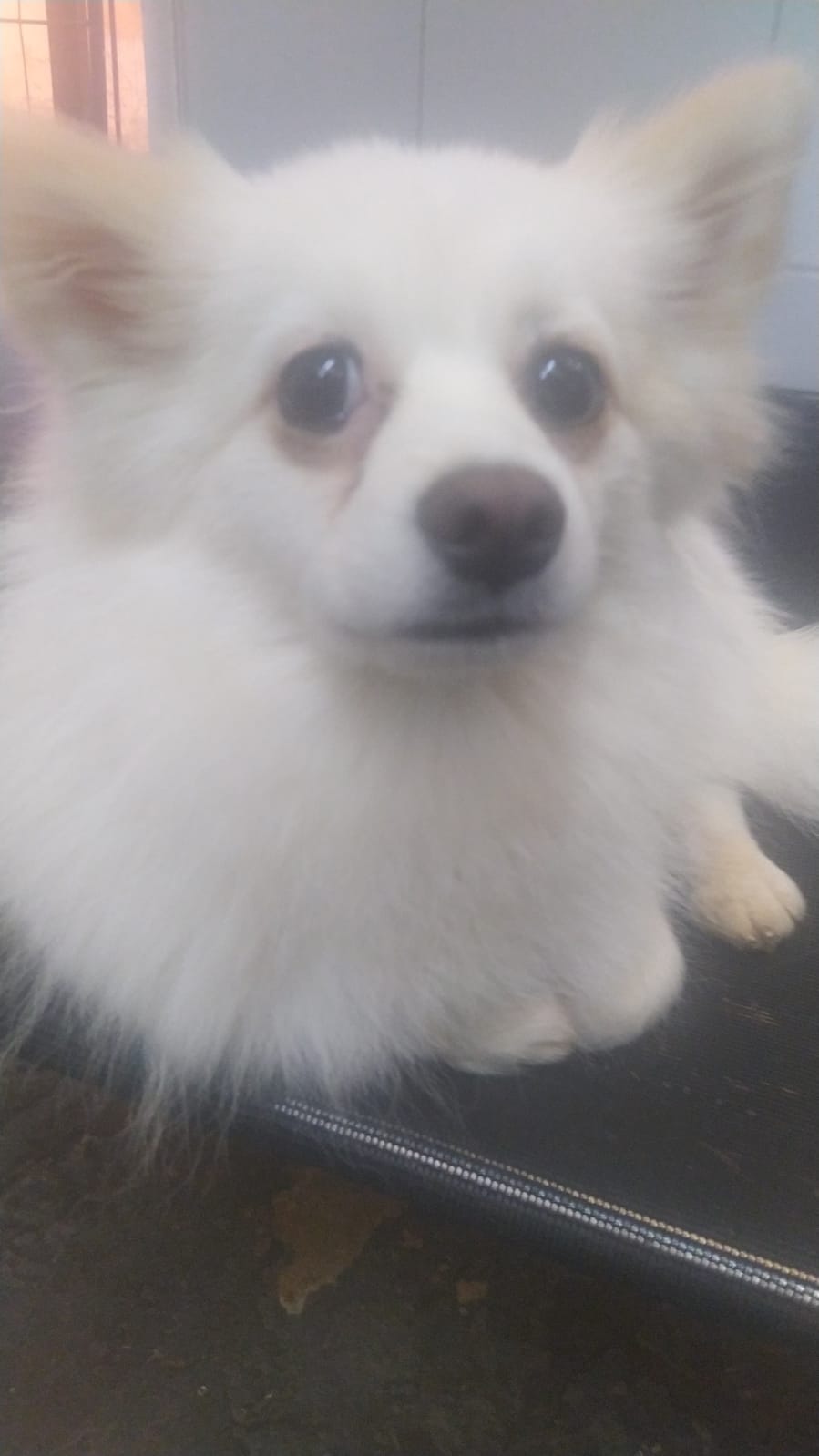 terça-feira, 13/01/2026 08:15