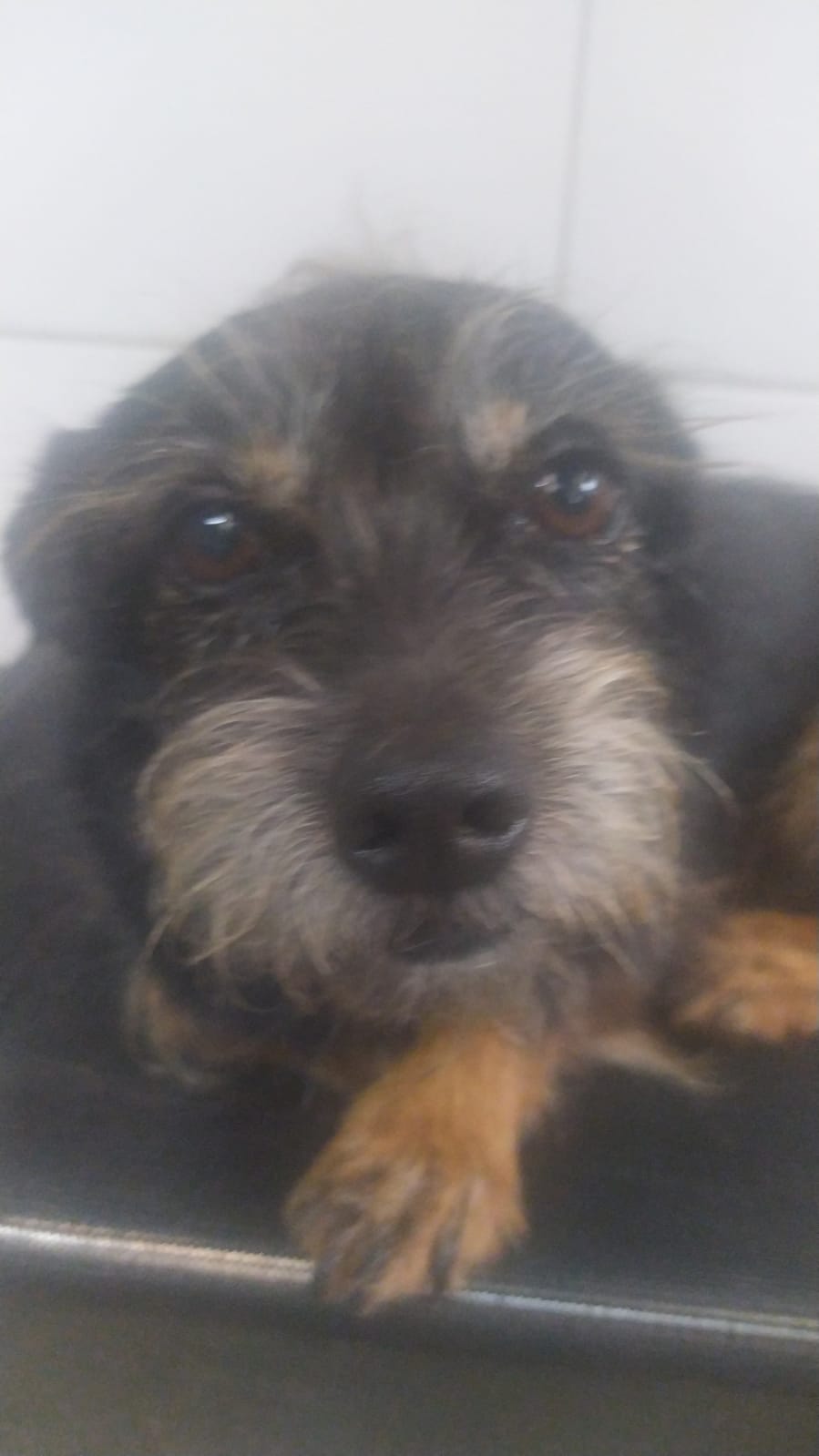 terça-feira, 13/01/2026 08:15