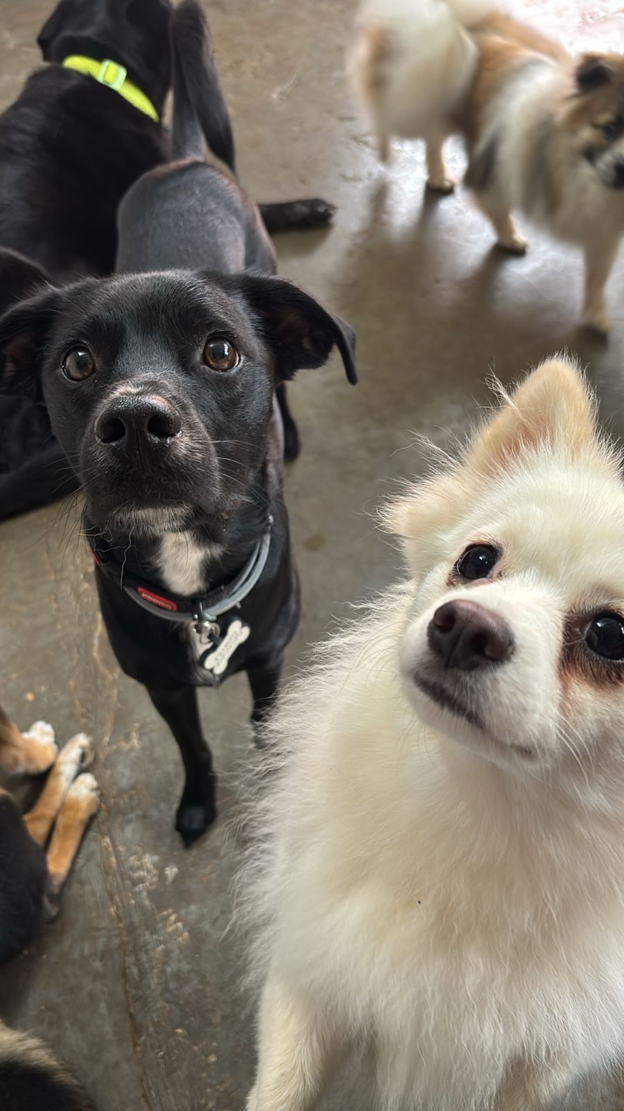 terça-feira, 13/01/2026 10:22