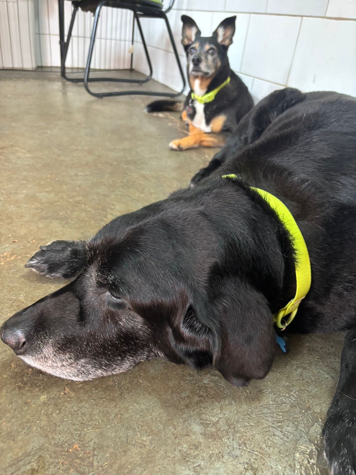 terça-feira, 13/01/2026 10:25