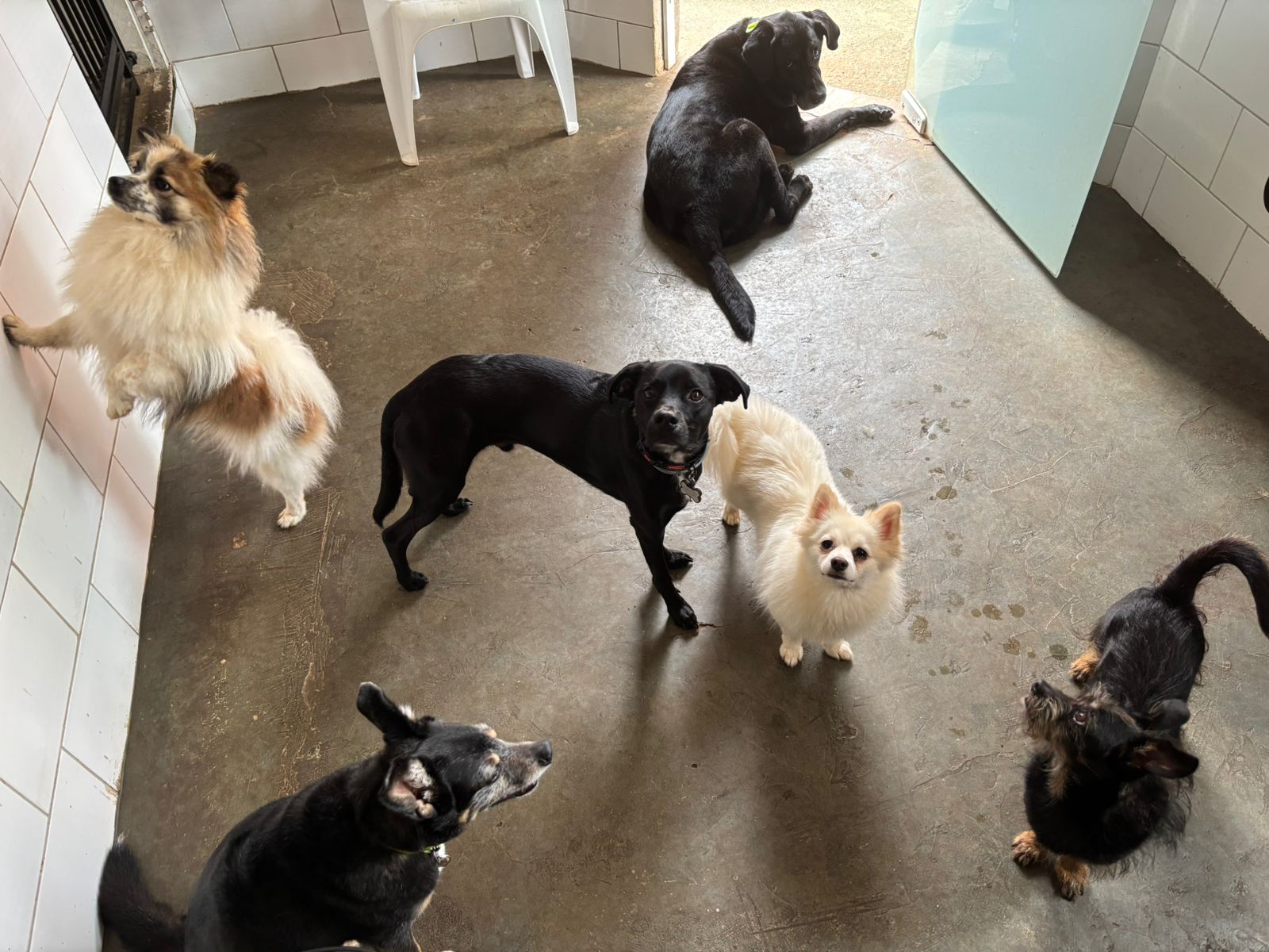 terça-feira, 13/01/2026 11:23