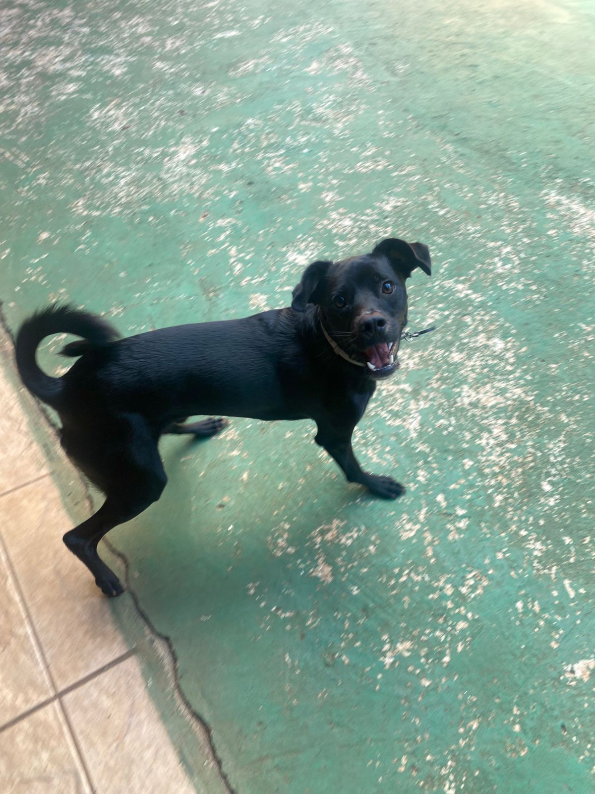 terça-feira, 13/01/2026 17:19