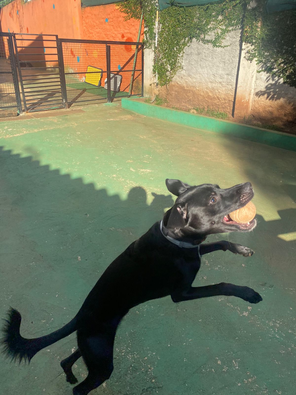 terça-feira, 13/01/2026 17:19