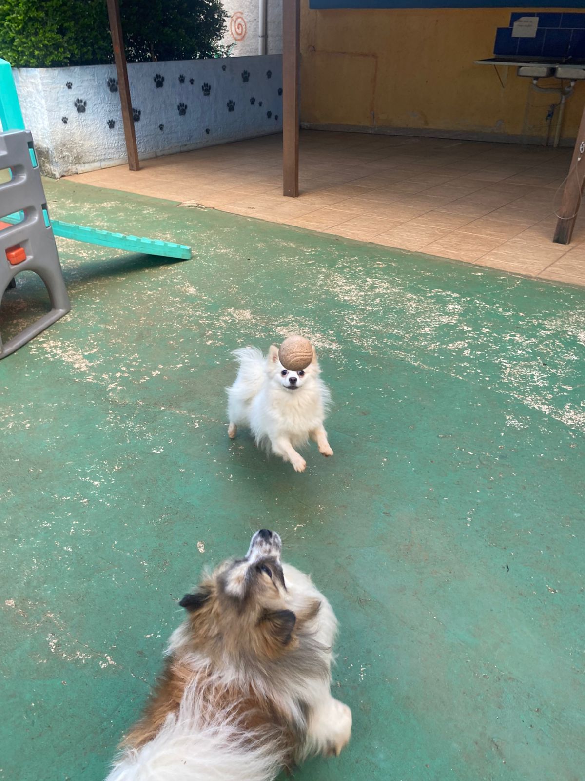 terça-feira, 13/01/2026 17:19