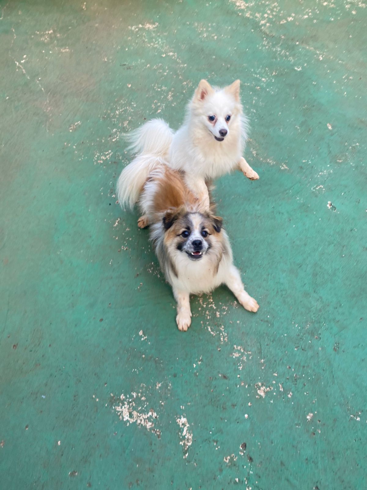 terça-feira, 13/01/2026 17:19