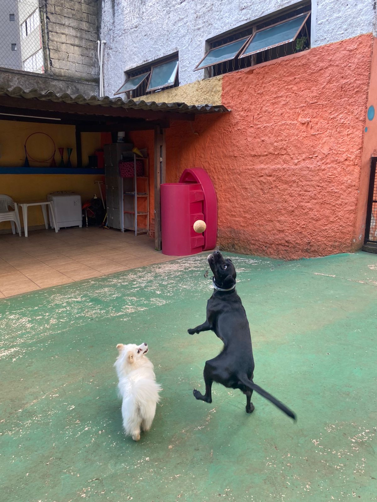 terça-feira, 13/01/2026 17:19