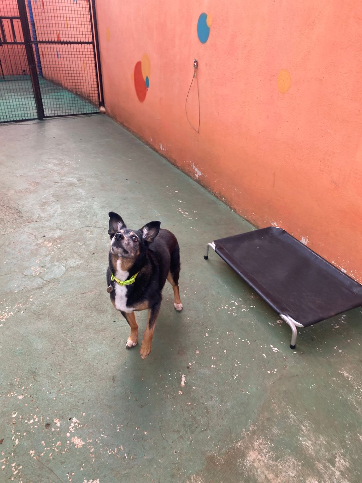 terça-feira, 13/01/2026 17:19