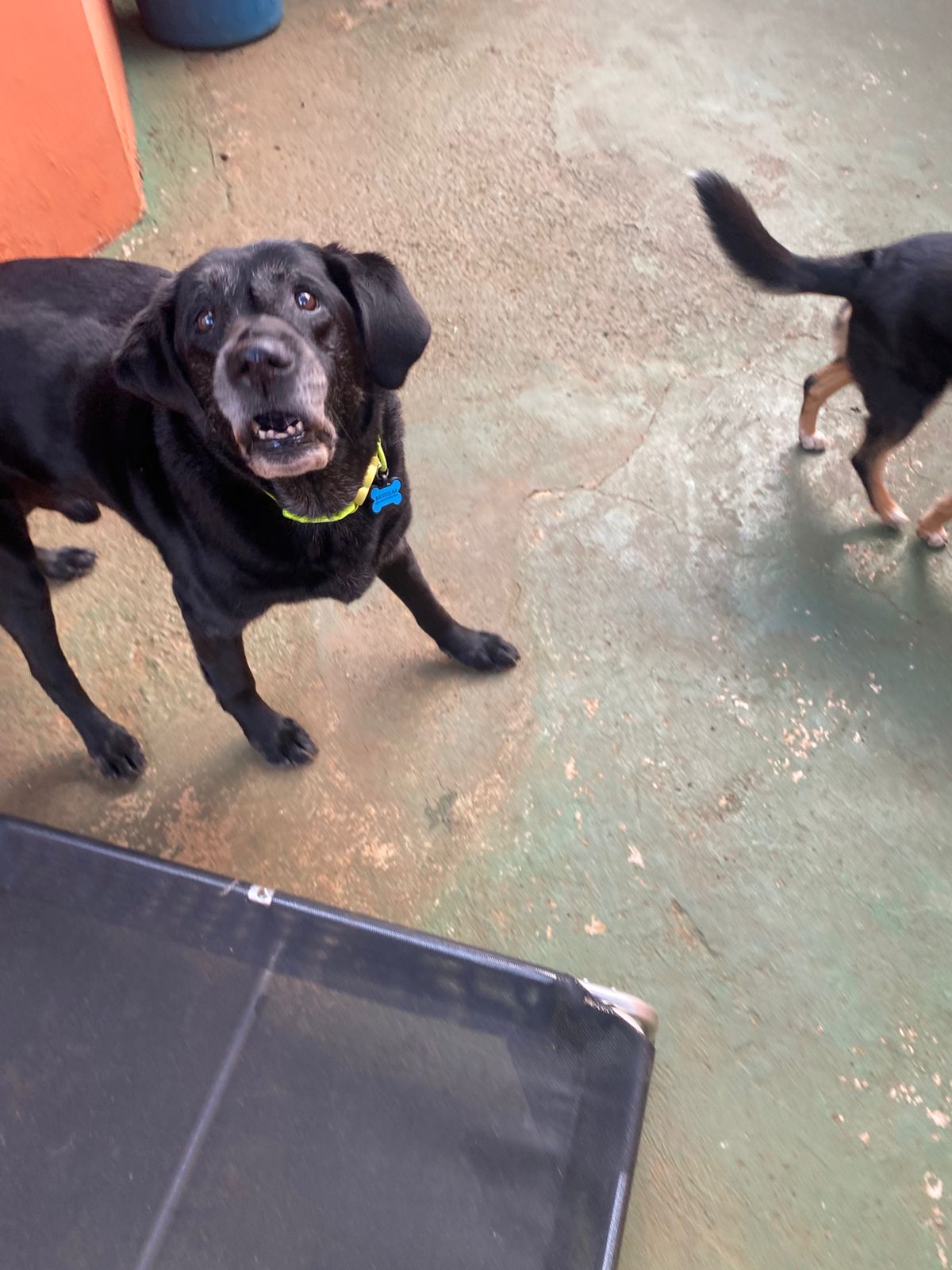 terça-feira, 13/01/2026 17:19