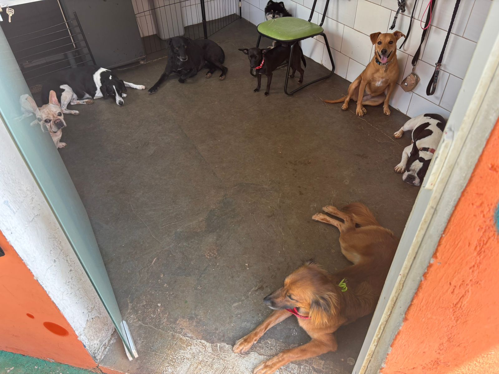 quarta-feira, 14/01/2026 11:17