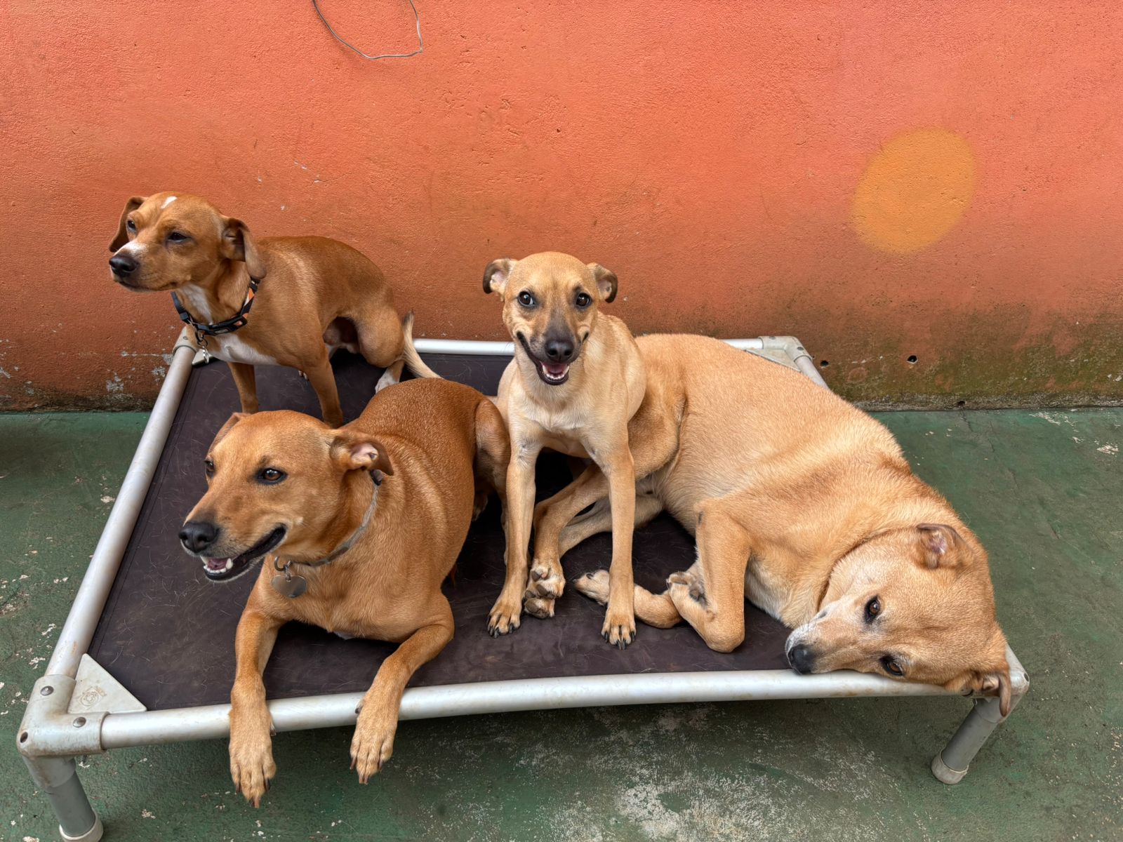 quarta-feira, 14/01/2026 12:58