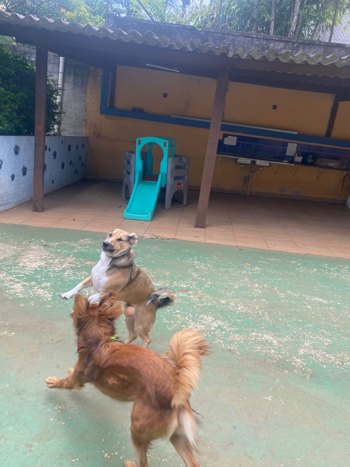 quarta-feira, 14/01/2026 16:24