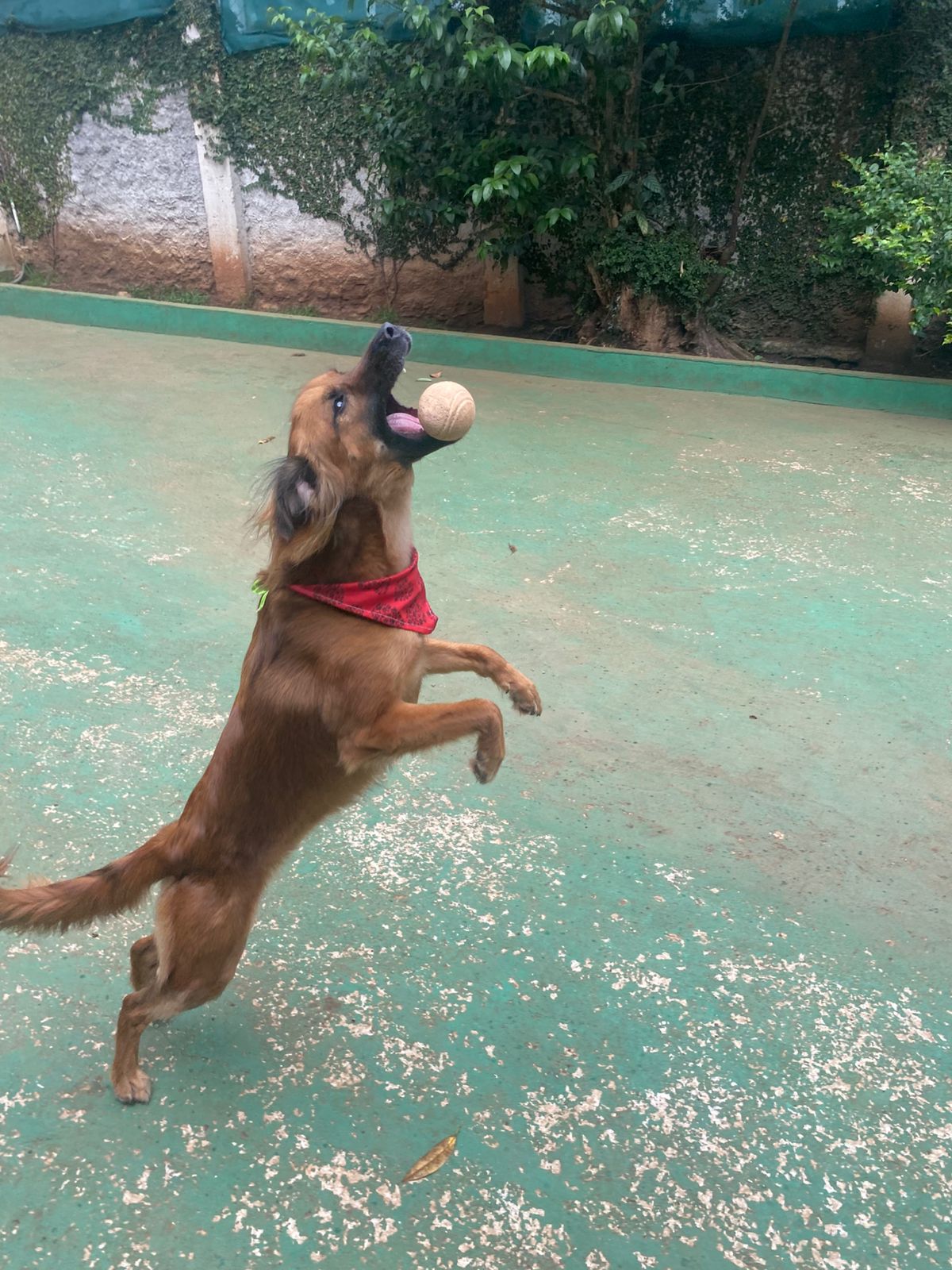 quarta-feira, 14/01/2026 16:24