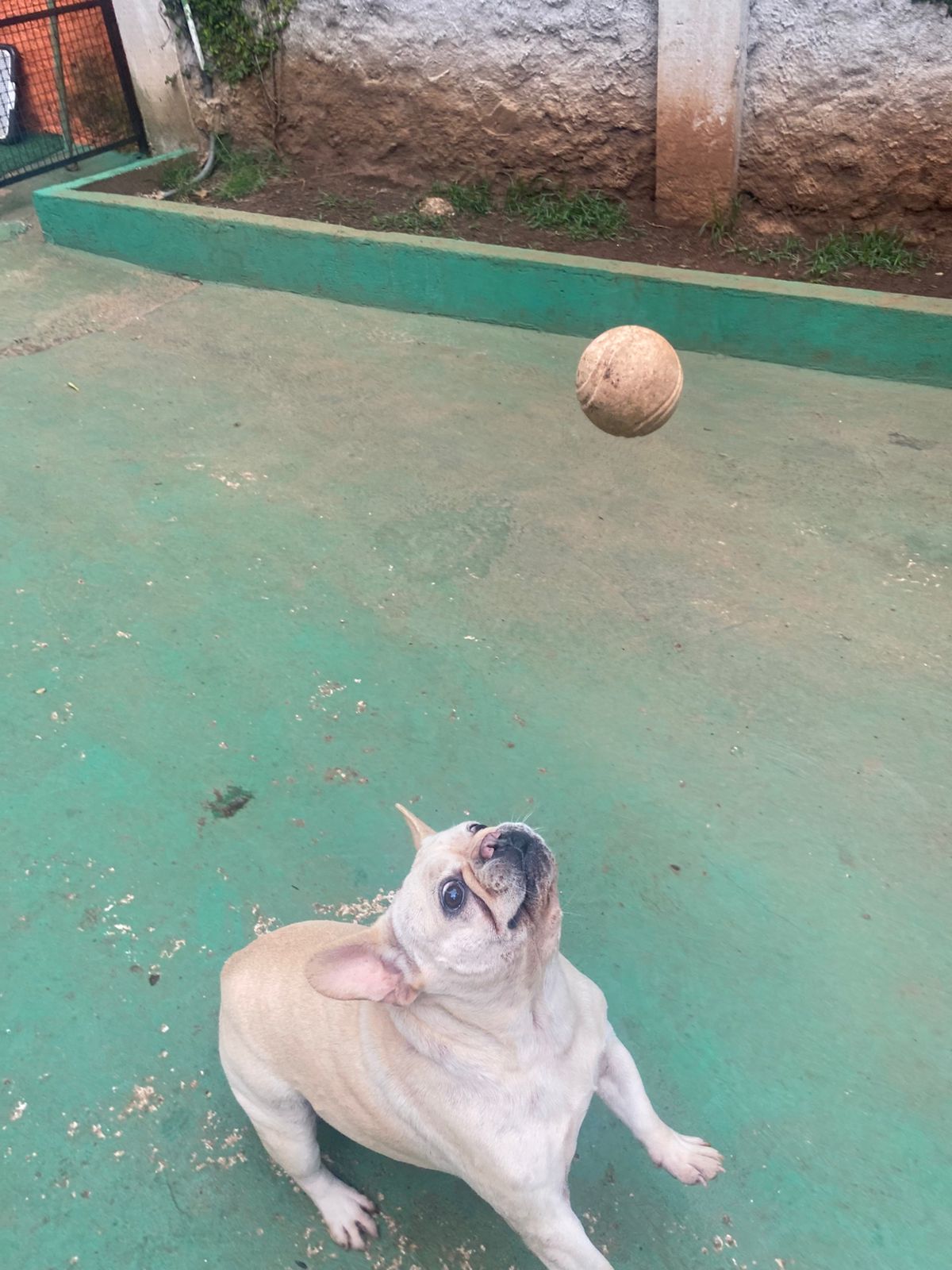 quarta-feira, 14/01/2026 16:24