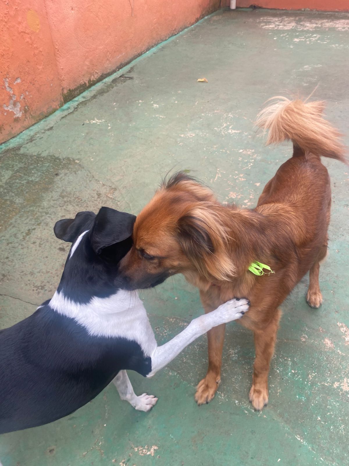 quarta-feira, 14/01/2026 16:24