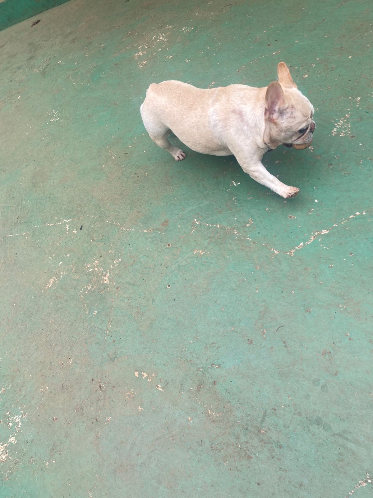 quarta-feira, 14/01/2026 16:24