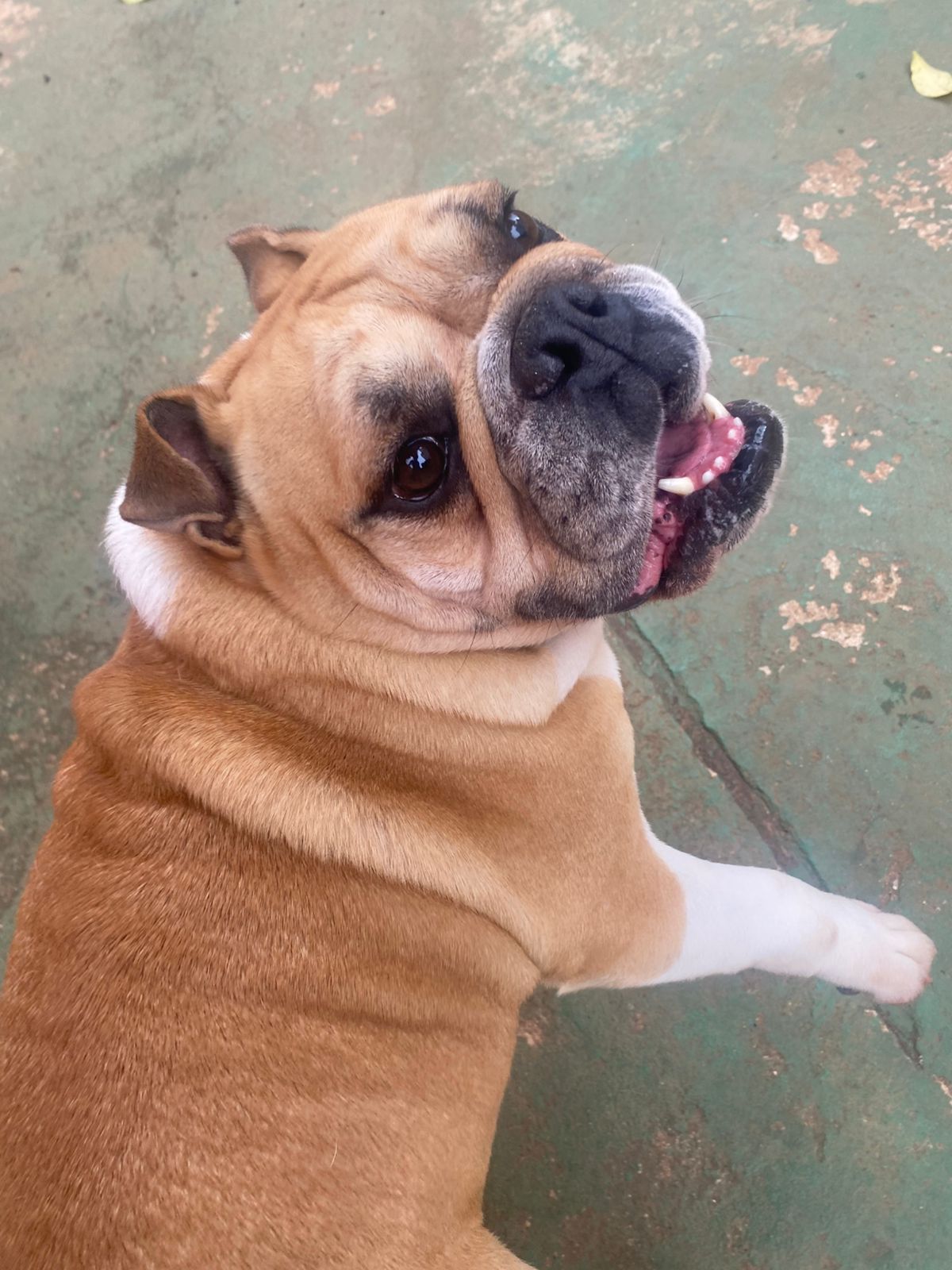 quarta-feira, 14/01/2026 16:24