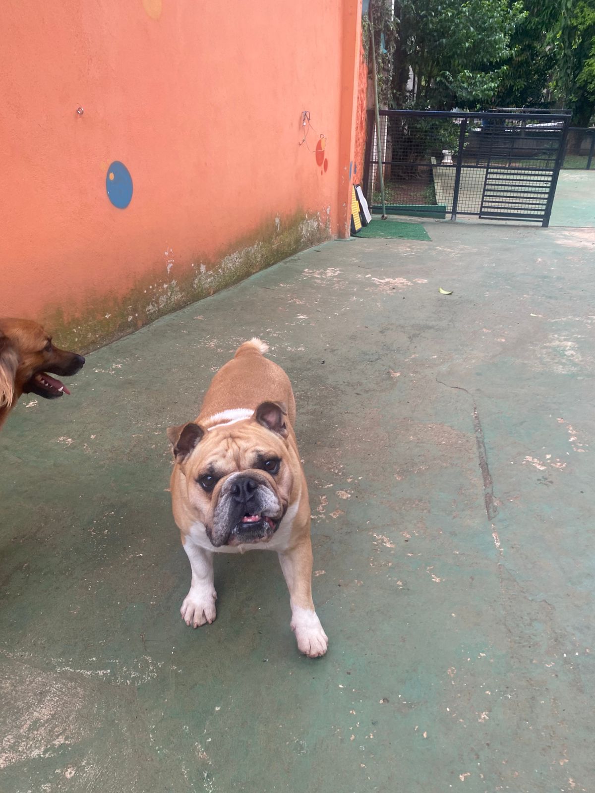 quarta-feira, 14/01/2026 16:24