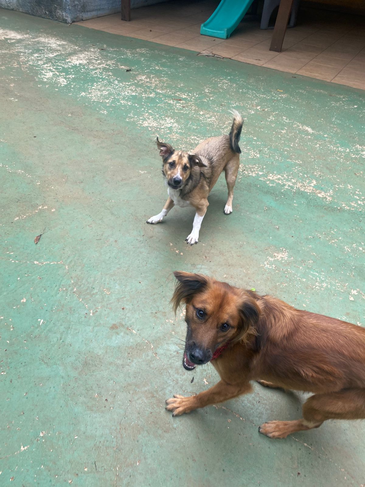 quarta-feira, 14/01/2026 16:24