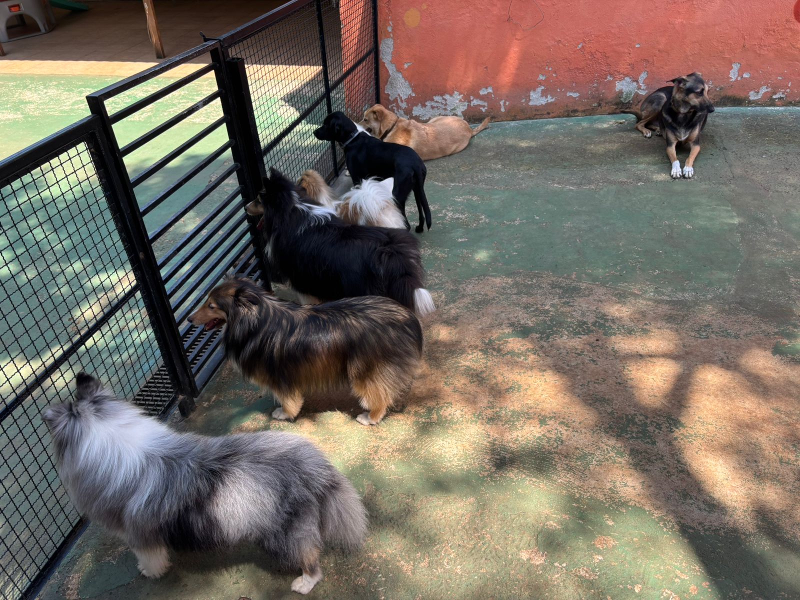 Fila pra brincar 😂