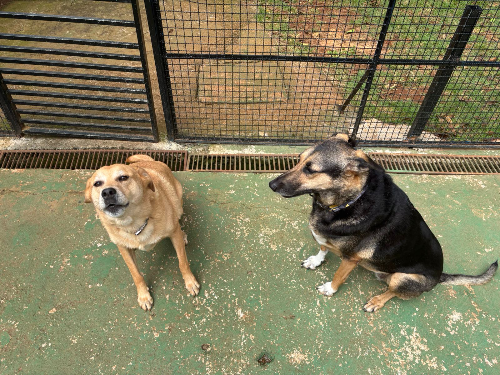 Manuela e Jose Carlos