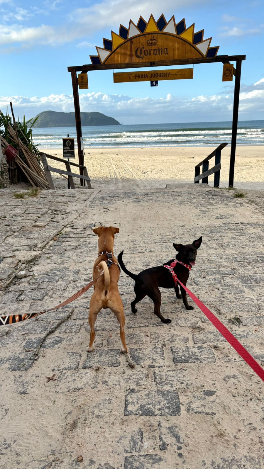 Hoje o day care é na praia kkkk