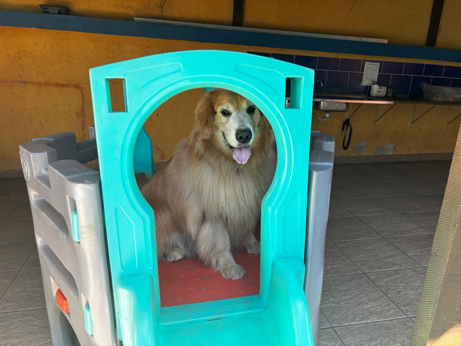 Quase nao cabe no brinquedo 😂