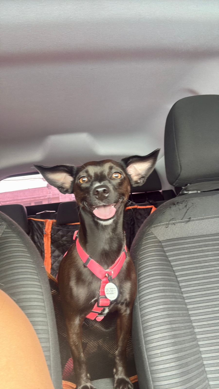 Aniversariante do dia está a caminho kkkk 🥳