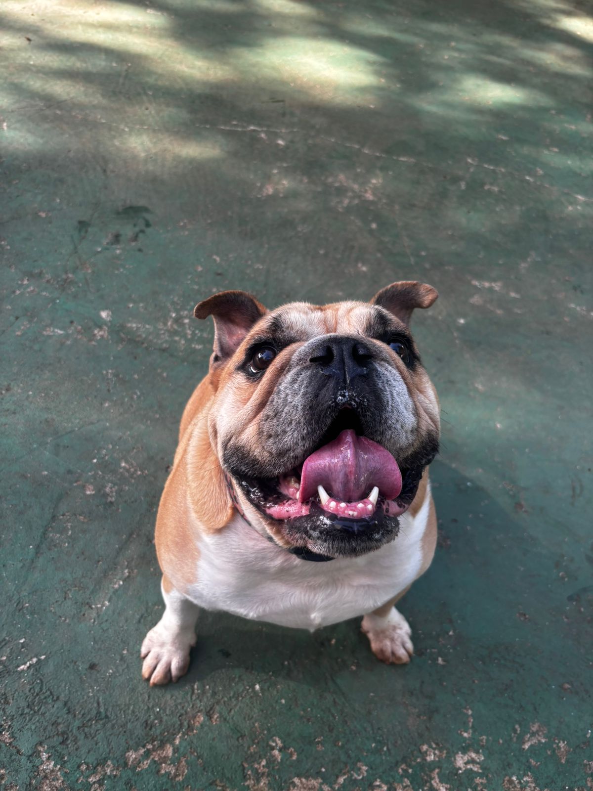 Zeus