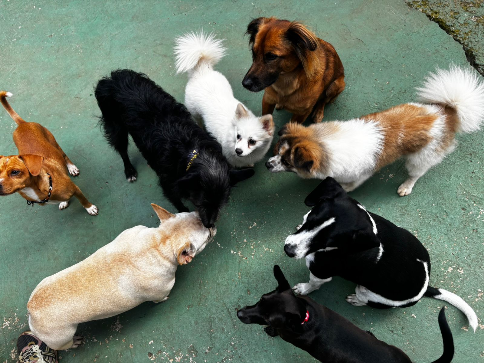 Reuniao