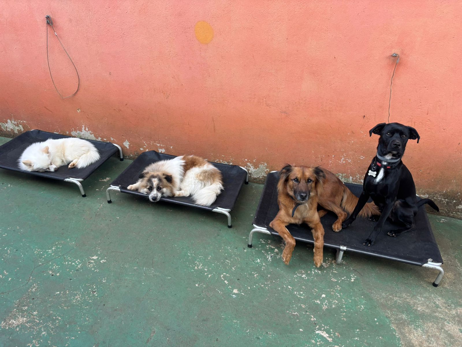 A turma descansando