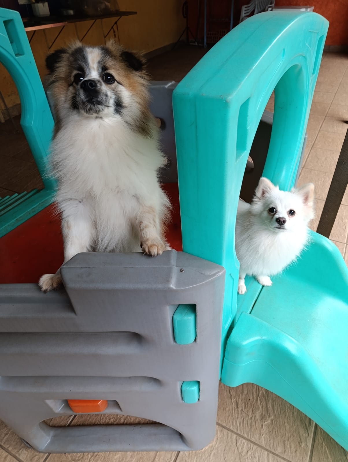 Beto & Luna