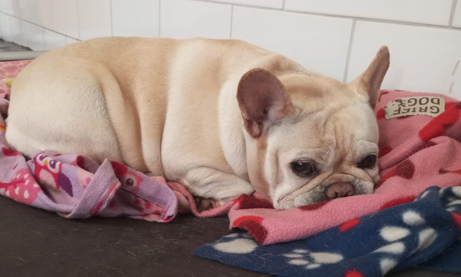 😴😴😪
